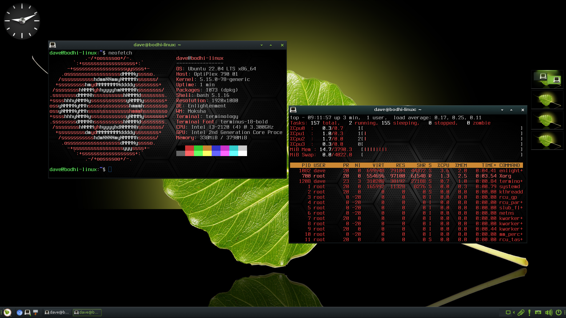The Bodhi Linux desktop with two terminals windows. One shows the output from Neofetch and the other is running top.