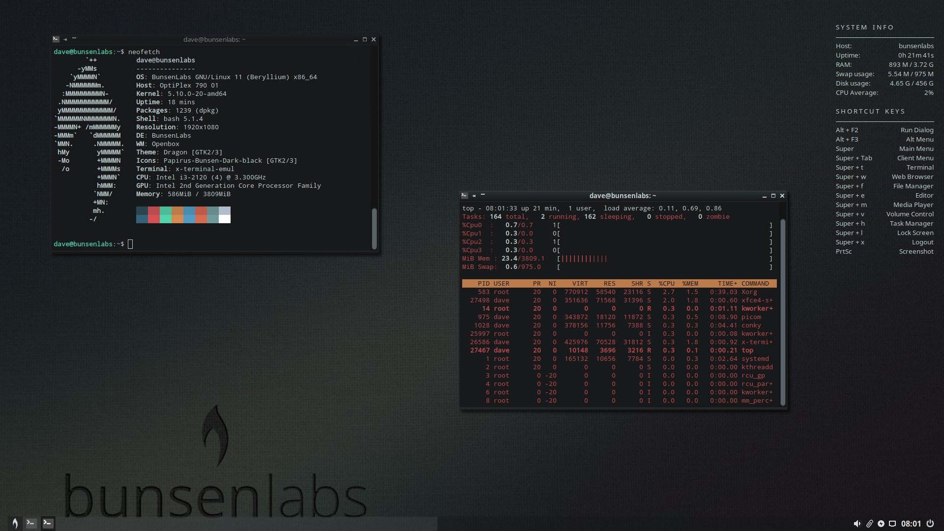 The BunsenLabs Linux desktop with two terminals windows. One shows the output from Neofetch and the other is running top.