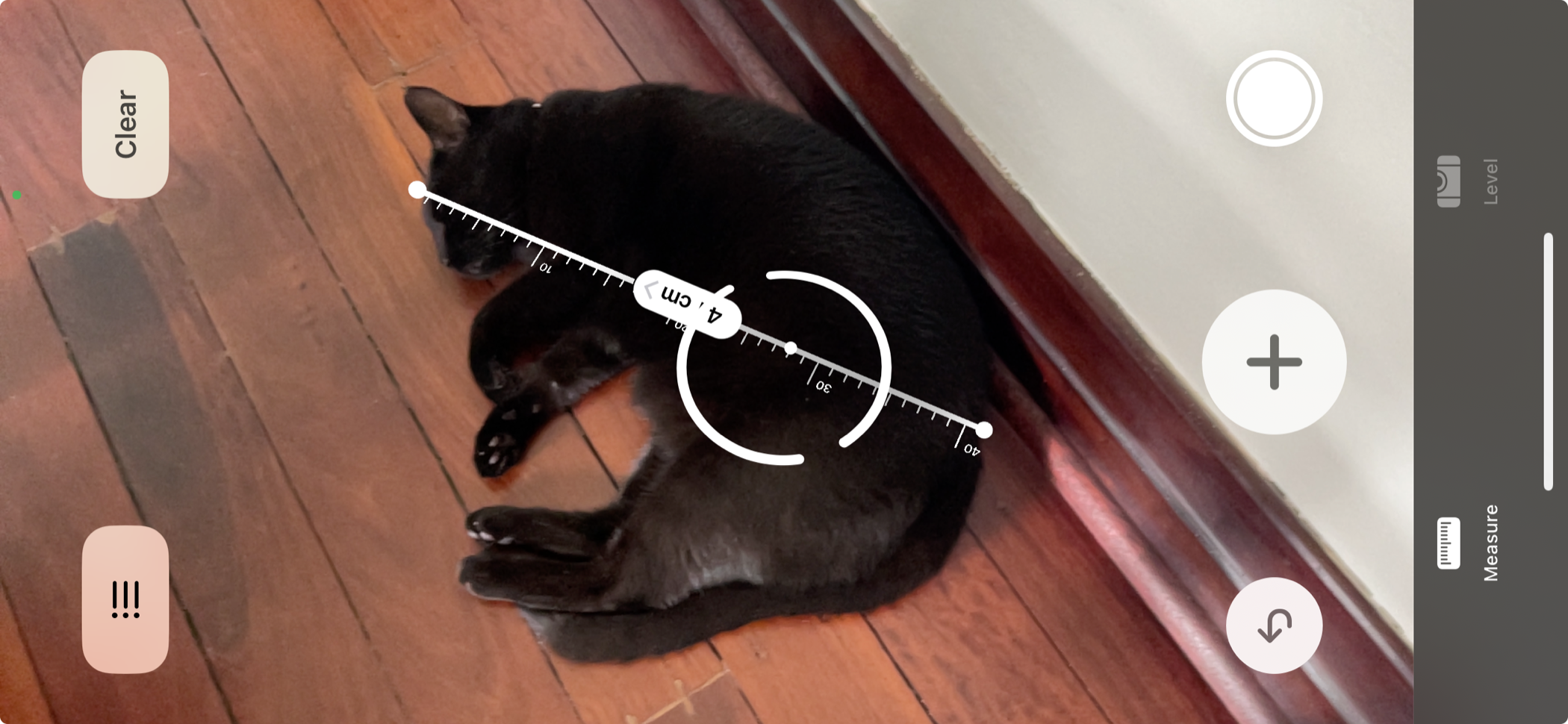 Using the iPhone's Measure app to measure a cat.