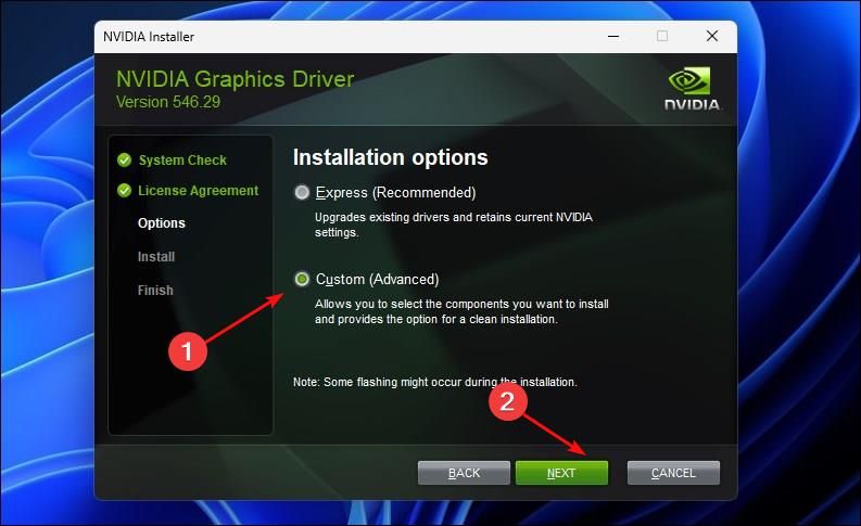 Nvidia install application hot sale