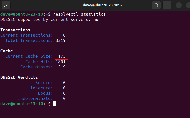 Checking the size of the DNS cache on Ubuntu