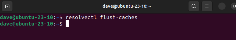 Flushing the DNS cache on Ubuntu