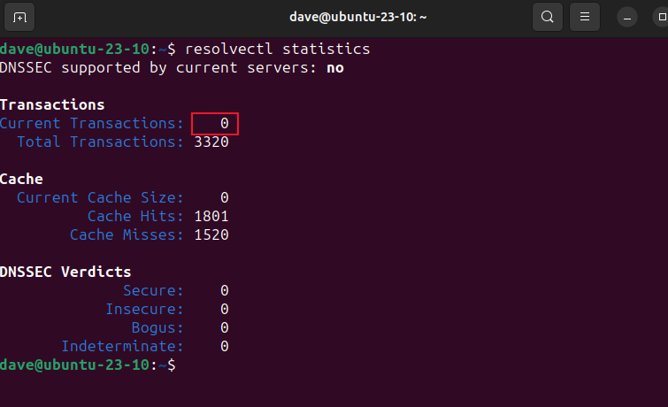 Verifying the DNS cache is empty on Ubuntu