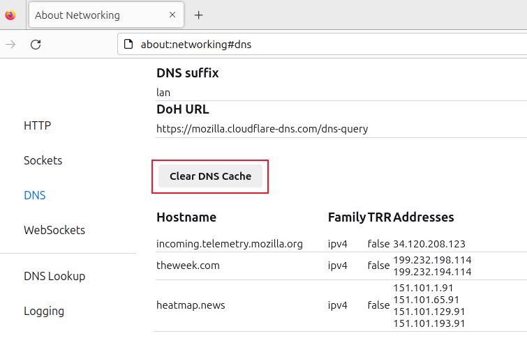 The Clear DNS Cache button on Firefox