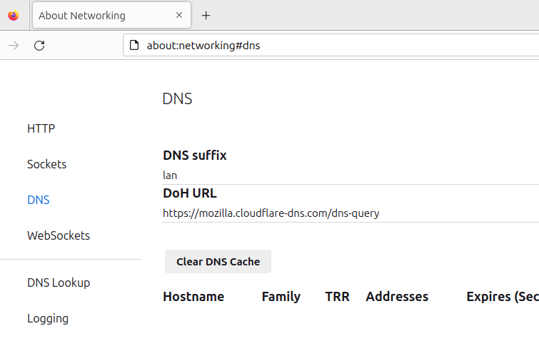 The Firefox DNS page with no entries, showing the cache has been purged