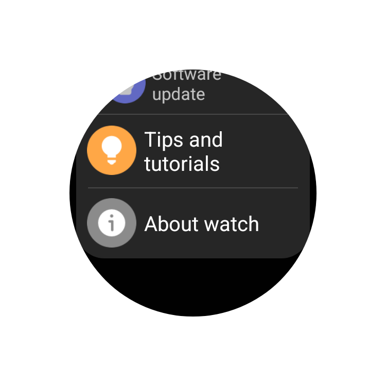 About Watch Wear OS-2