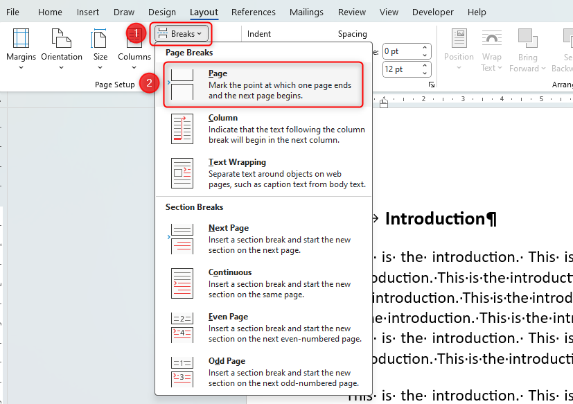 Word document showing how to add a page break in the 'Page Setup