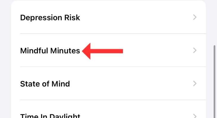 Screenshot of the Health app highlighting the Mindful Minutes option.
