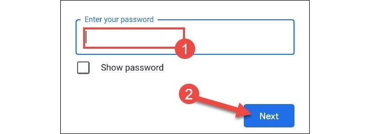 Enter Google account password.
