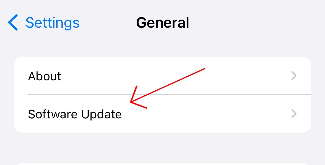 Select 'Software Update' in iPhone general settings.