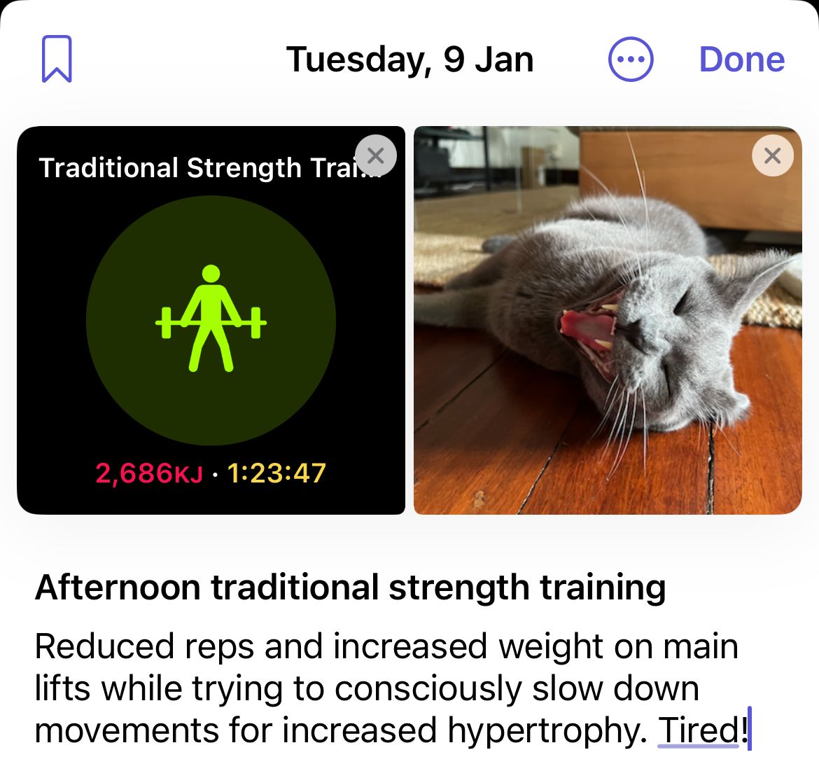 Recording a workout and photo within the same entry.