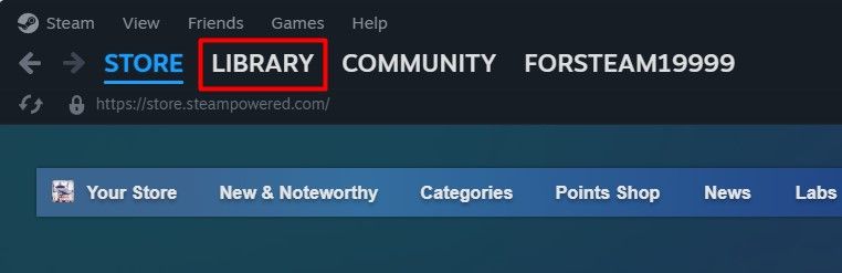 Library option in the Steam client.