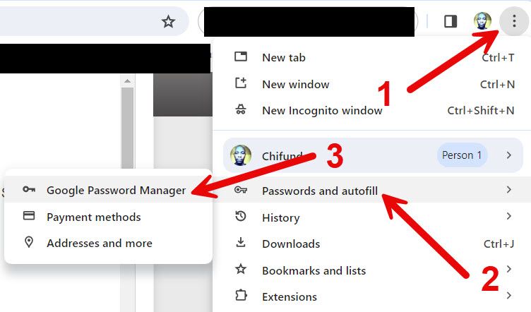 Opening Google Password in Chrome.