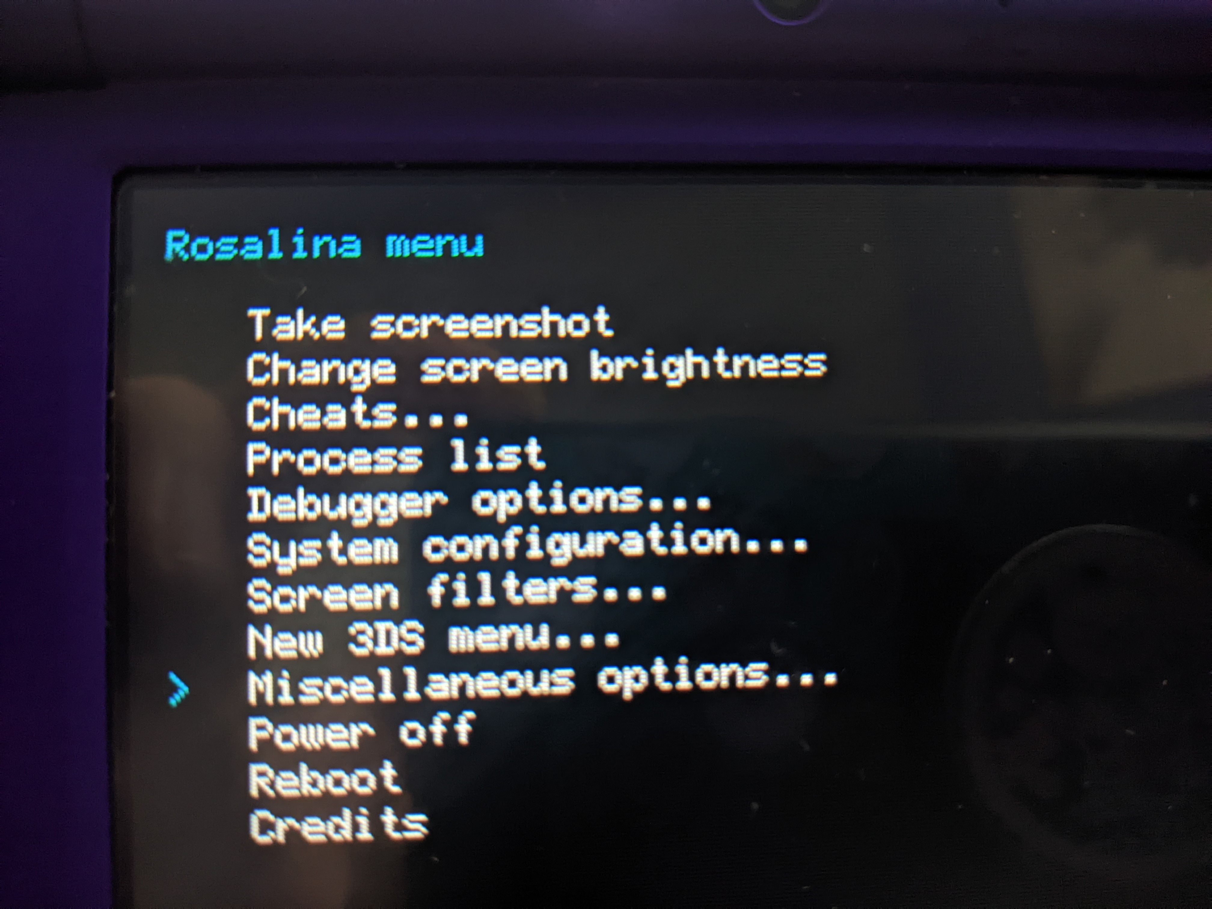 The special settings screen accessed via Homebrew, where you will select the 