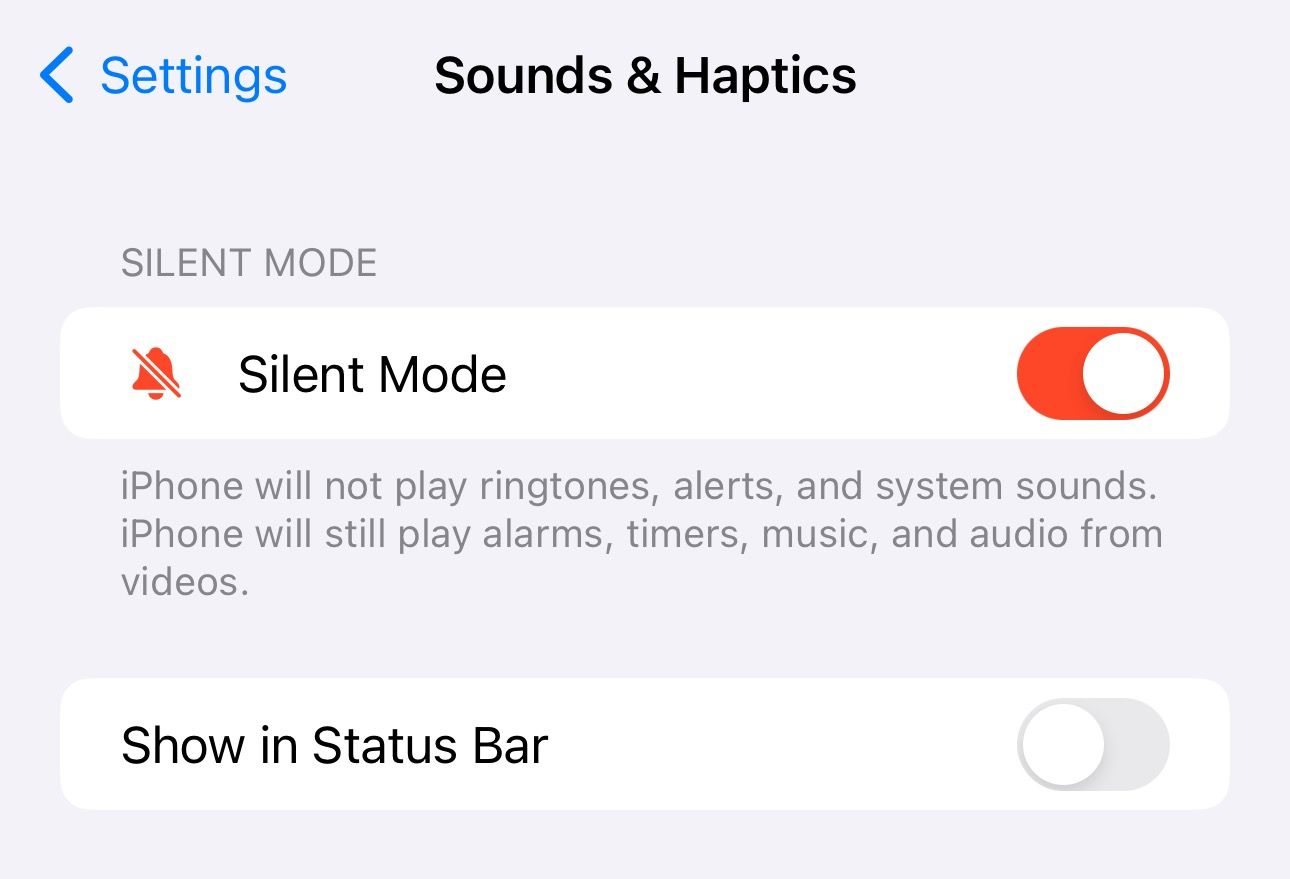 show silent mode icon on iphone 15