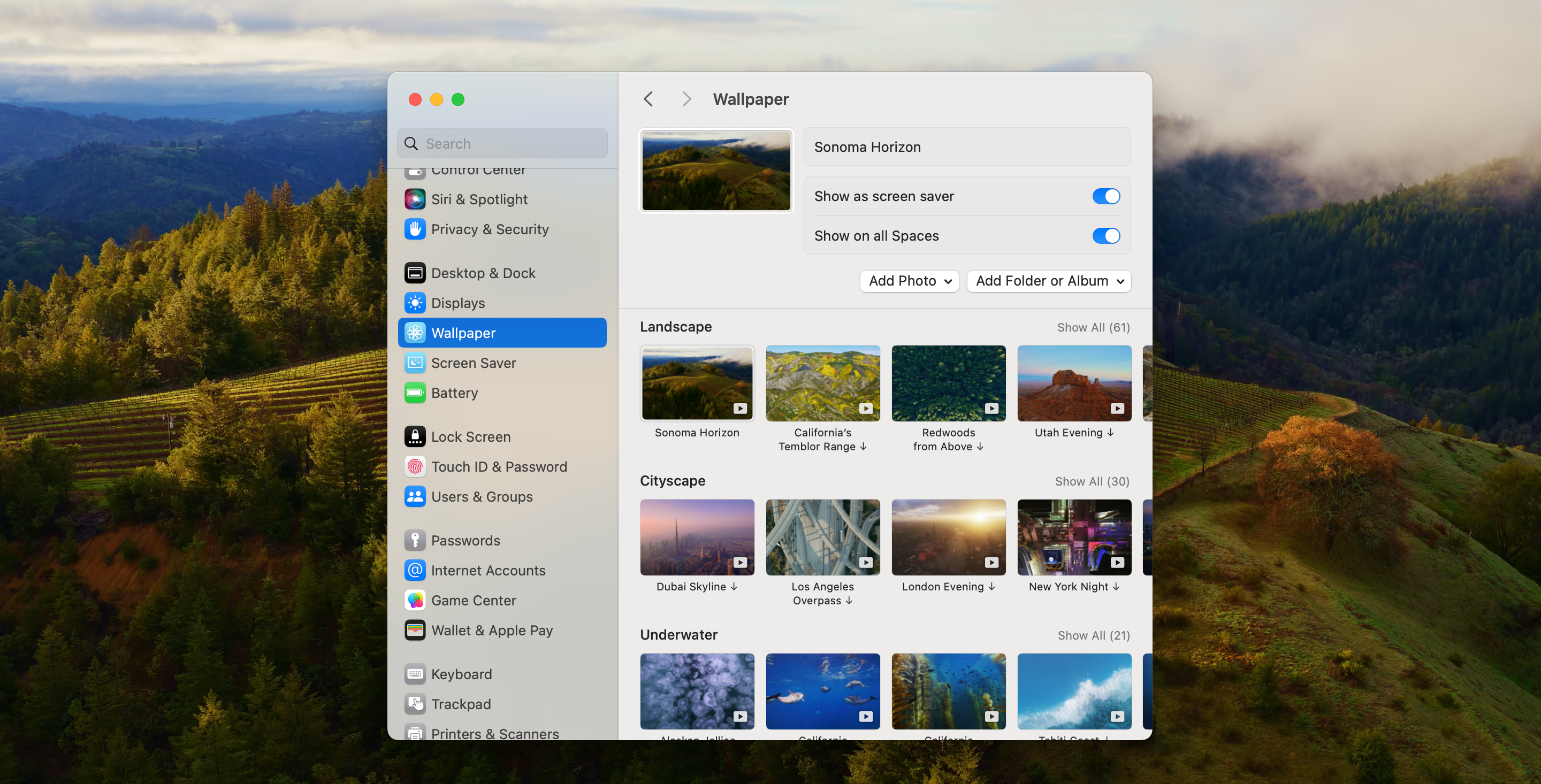The Wallpaper settings screen in macOS.
