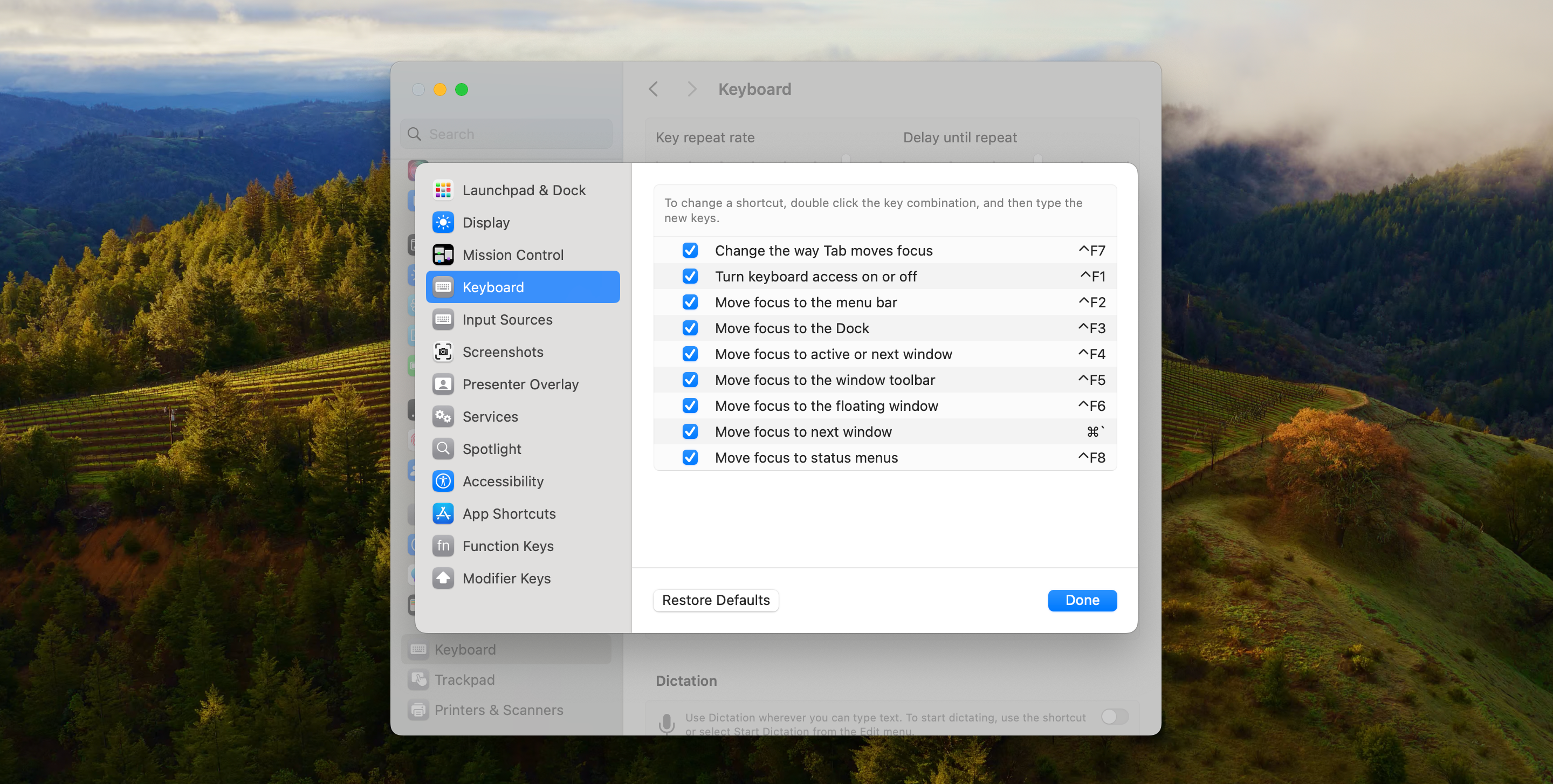 macOS keyboard shortcut settings.