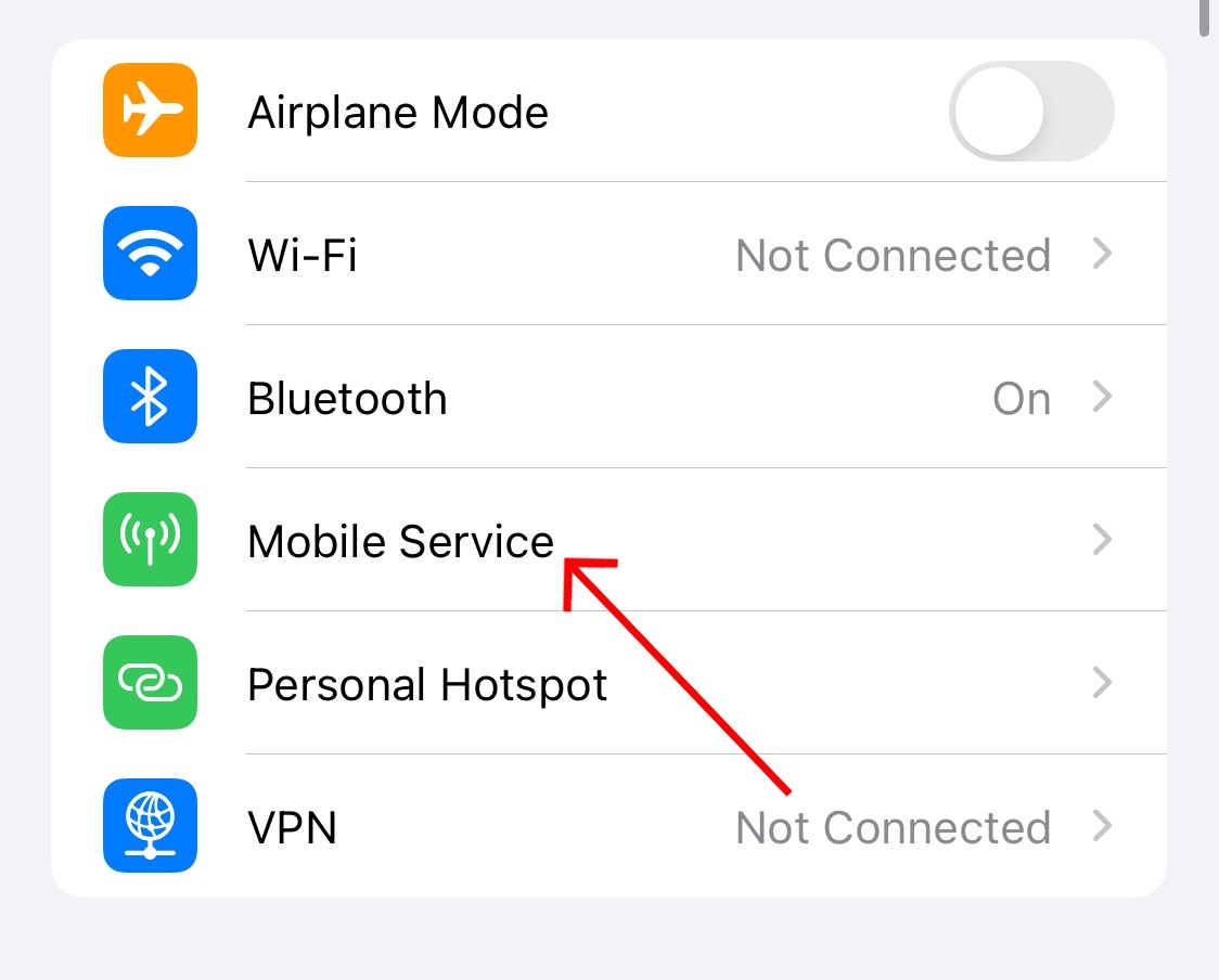 Select 'Mobile Service' in iPhone Settings.