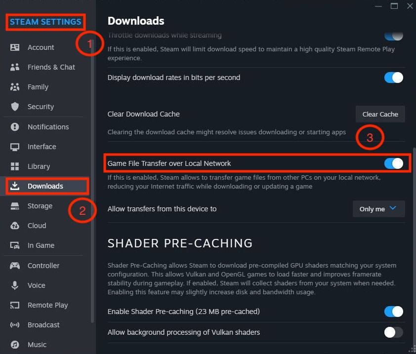 Steam download settings showing the location of the local game transfer toggle.