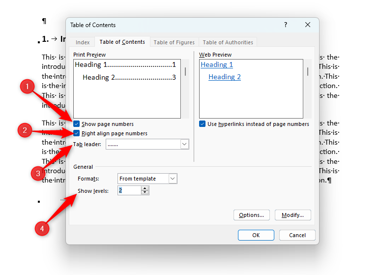 Table of Contents dialog box in Word with the four options highlighted.