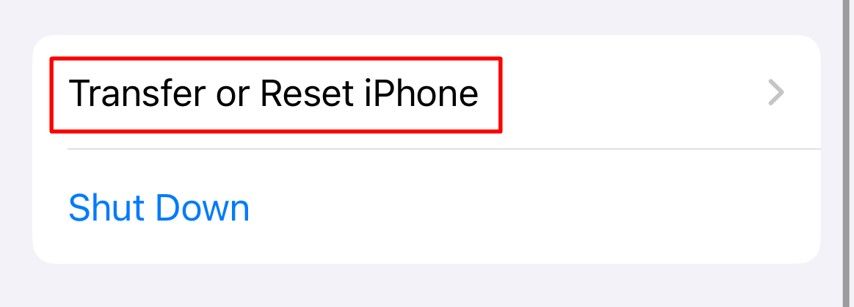 Using the :Transfer or Reset iPhone