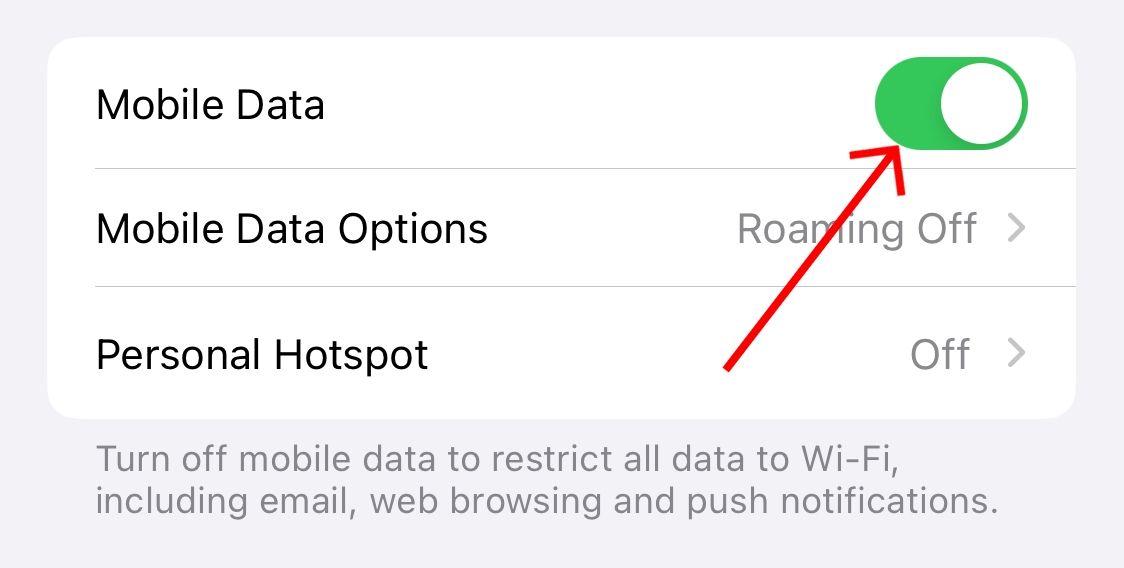 Turn off 'Mobile Data' in your iPhone settings..