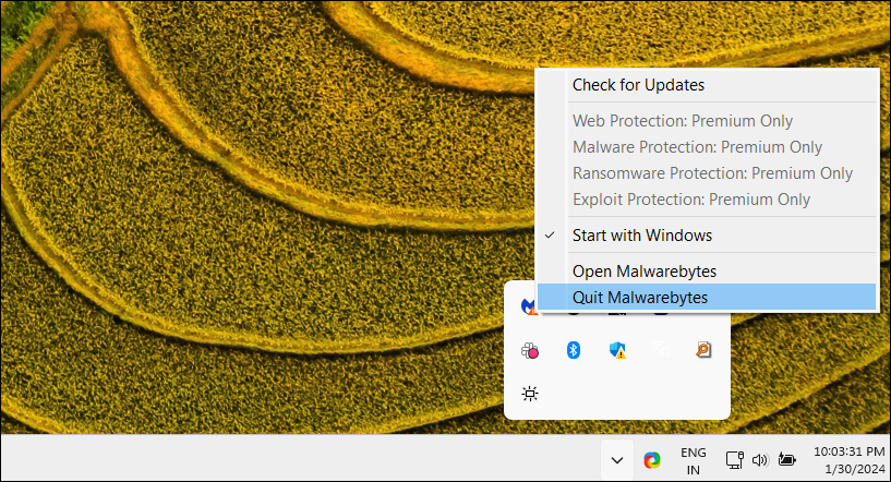 Windows 11 desktop showing the quit option for the Malwarebytes program in system tray.