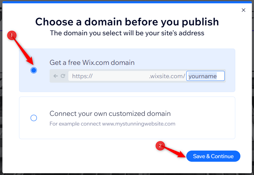 An image asking you to choose a domain.