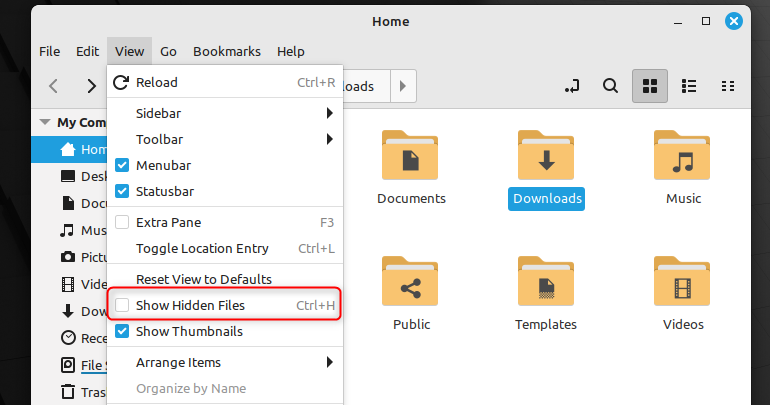 The Show Hidden Files option in the Nemo file manager for Linux.