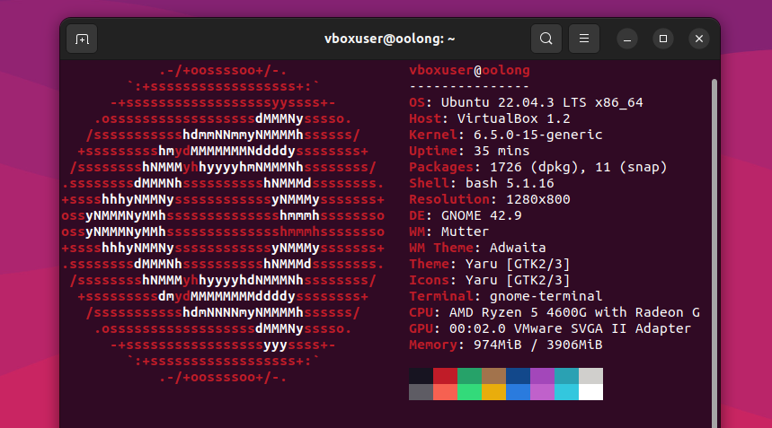 вихід команди neofetch в операційній системі Ubuntu.