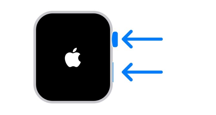 Depiction of the Digital Crown and side button of the Apple Watch.