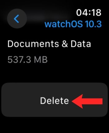 Apple Watch storage screenshot highlighting the option to delete watchOS update.