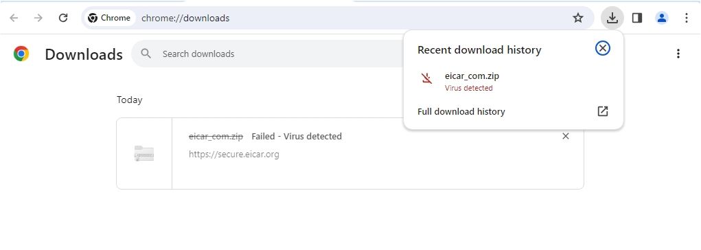 Failed - Virus Detected messages in Chrome.