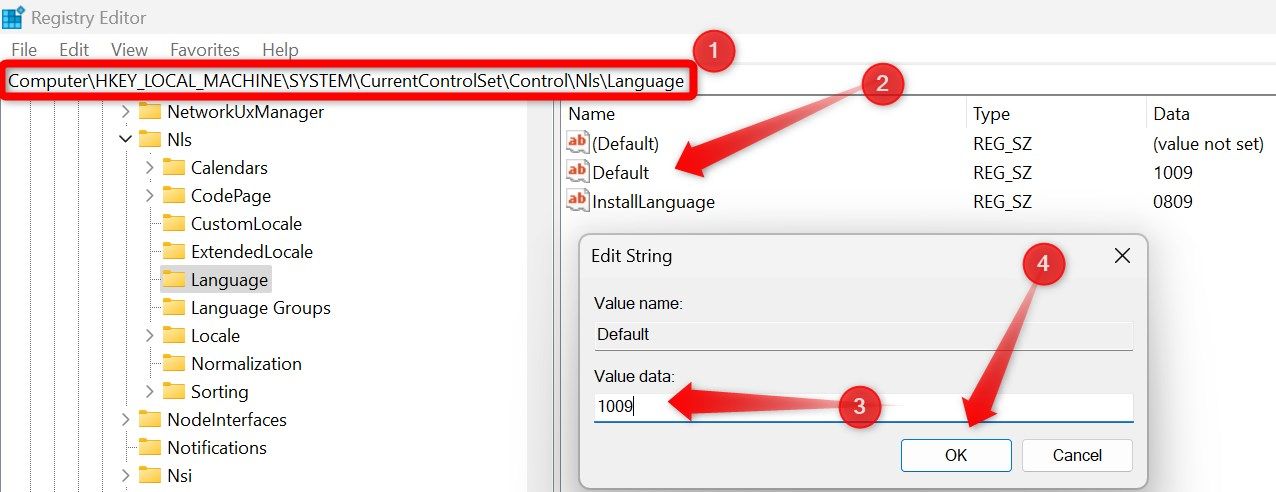 Pasting the language ID in the Value Data field of a string in Registry Editor.