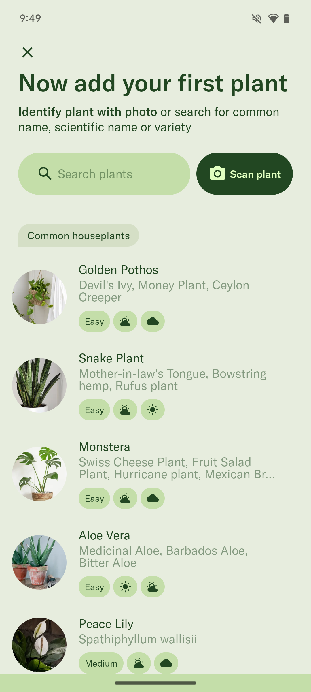 5 Best Plant Identifier Apps for Android