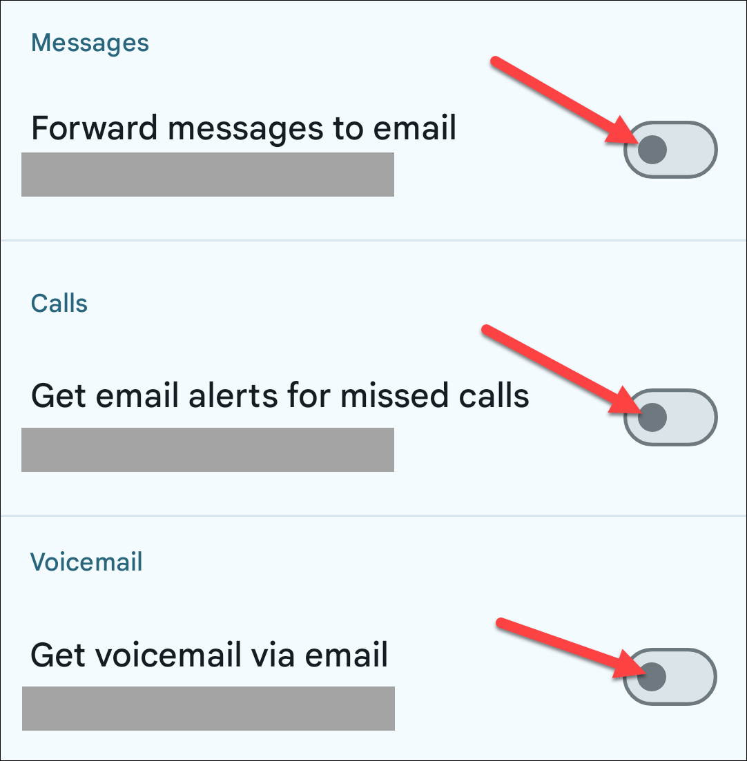 Google voice email forwarding options.