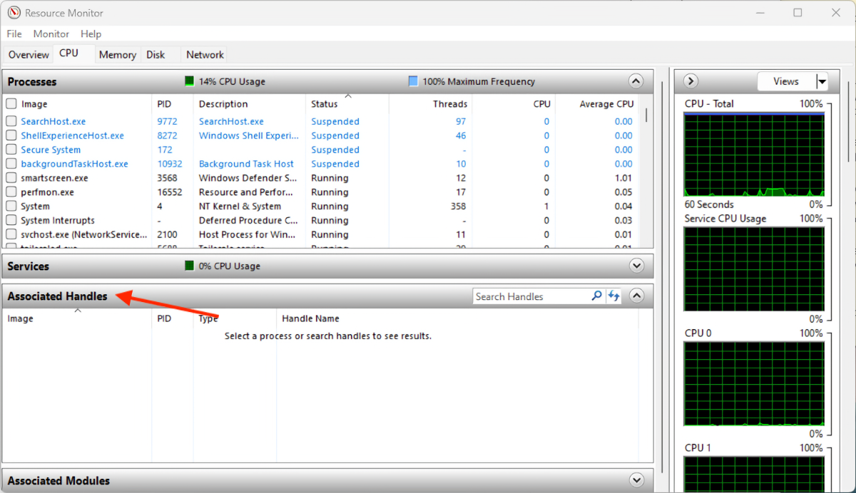 The location of the 'Associated Handles' section in the Resource Monitor.