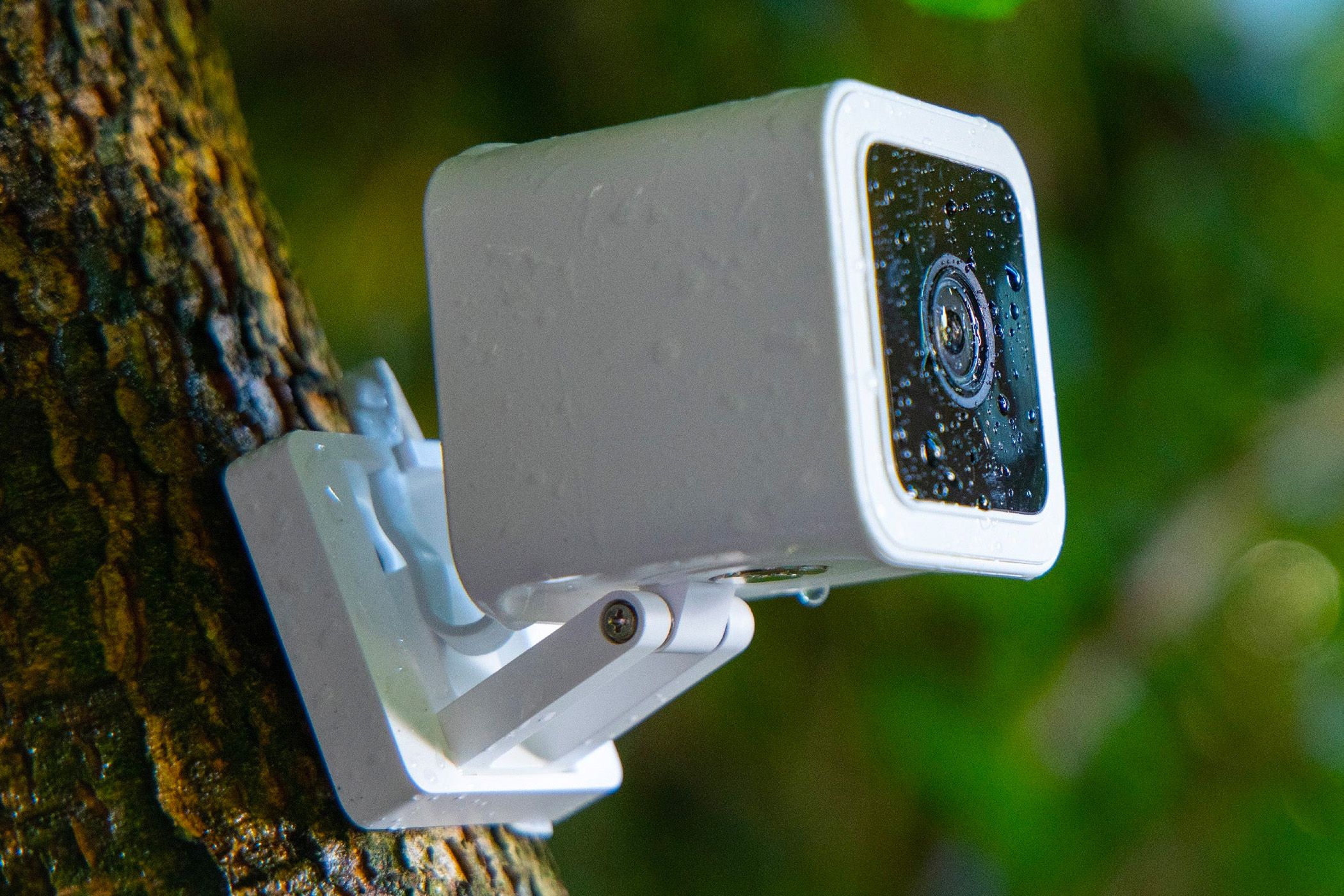 Wyze security camera mounted on a tree trunk with water droplets on the lens.