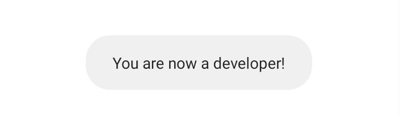 You are now a developer message.