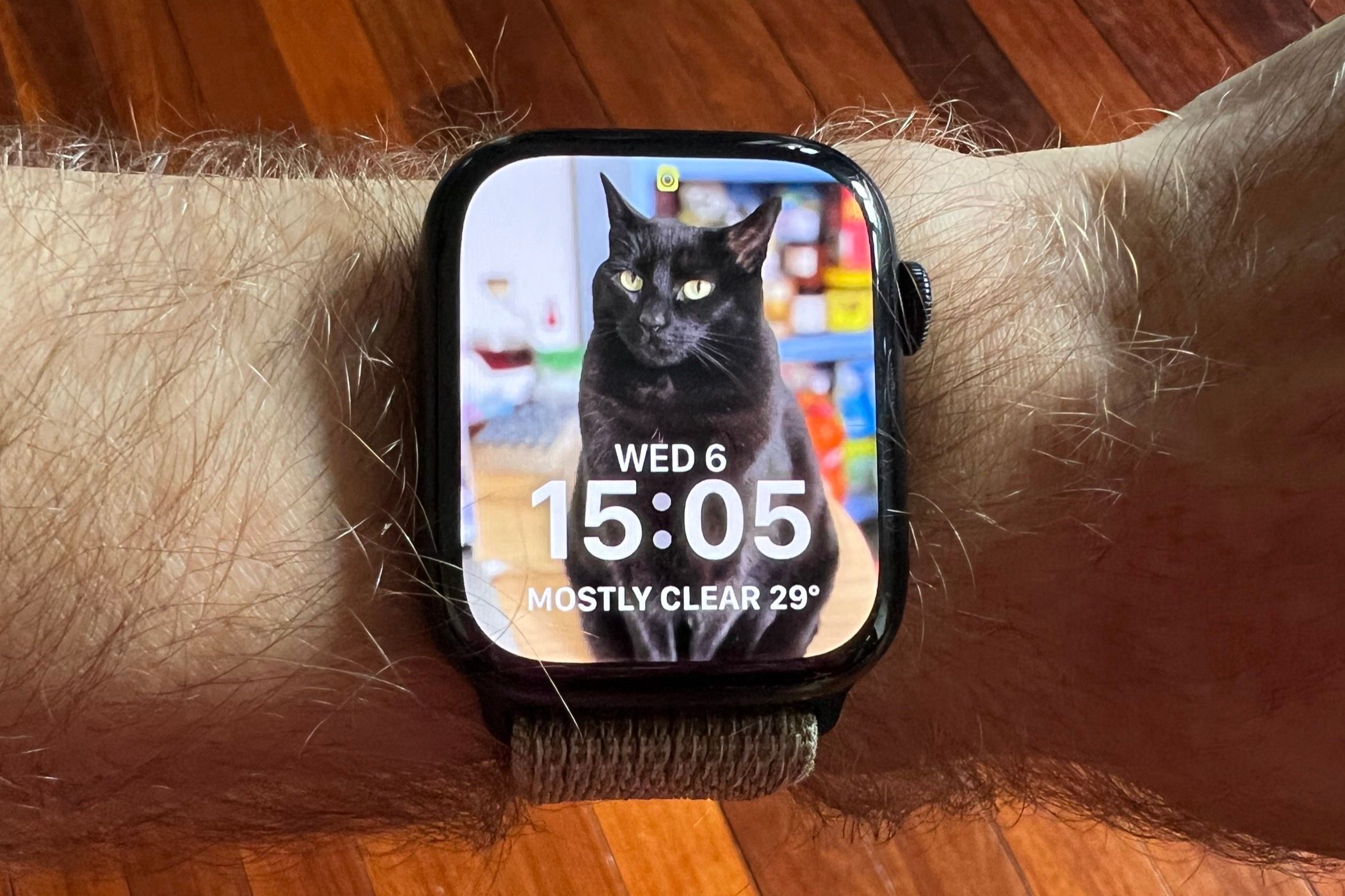 Apple Watch Series 8 and the &lsquo;Portrait&rsquo; watch face.