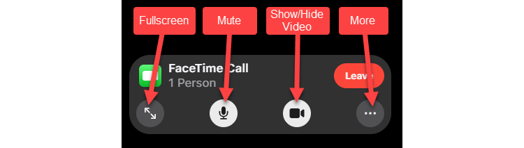 Video call options.