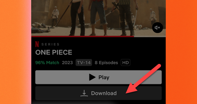 Netflix download button.