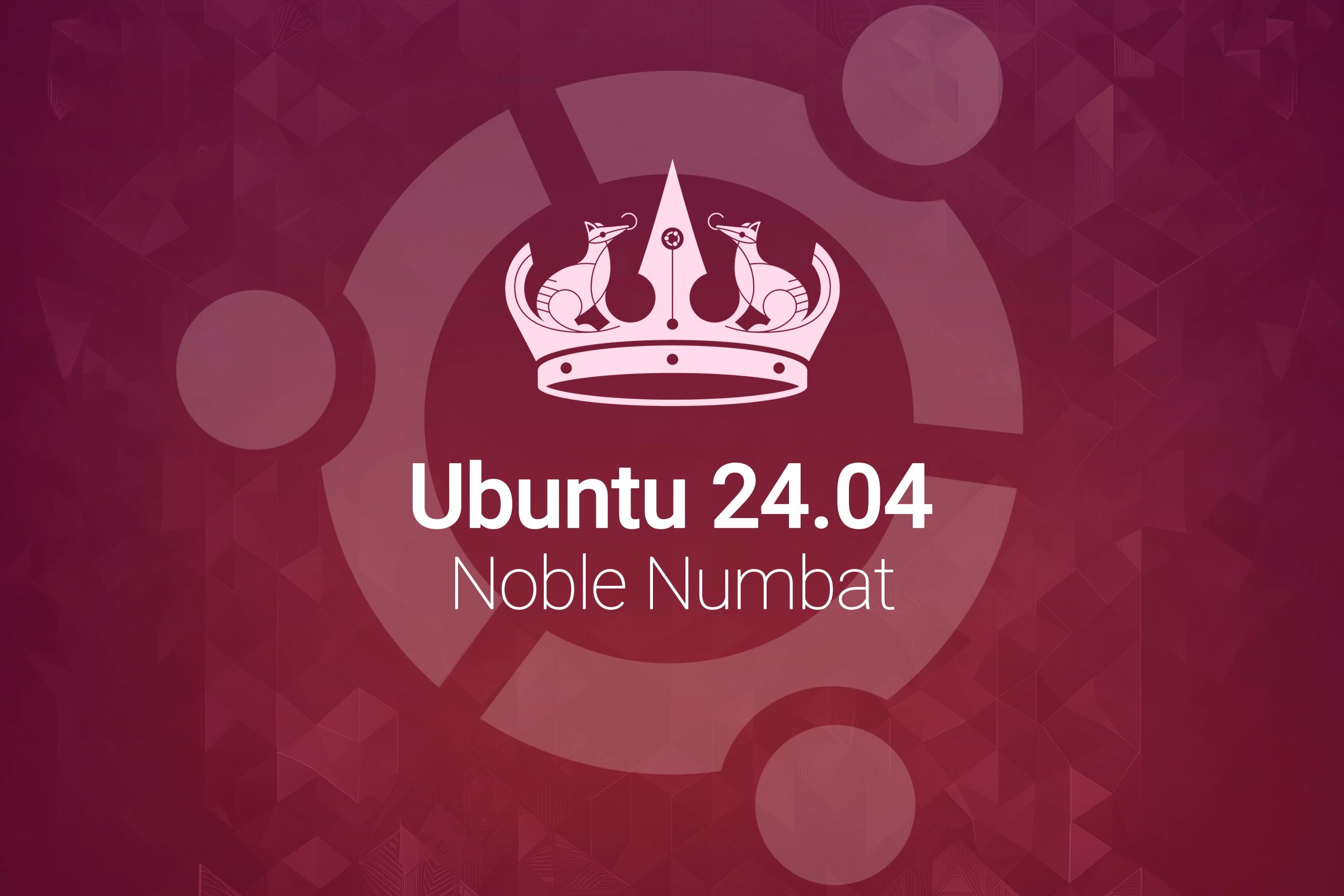 A promotional image of Ubuntu Noble Numbat in the center of the screen and, below, the writing Ubuntu 24.04 Noble Numbat