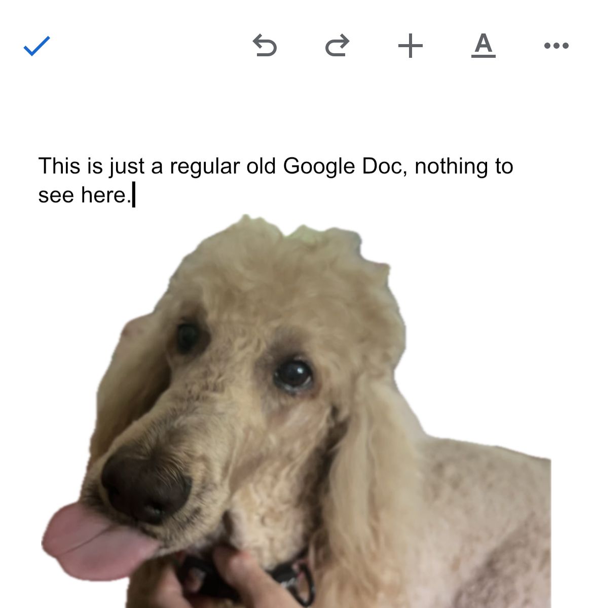 Adding a subject to a Google Doc using the iPhone paste functionality.