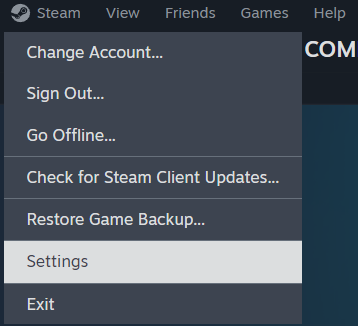 Steam Settings in Windows 10.