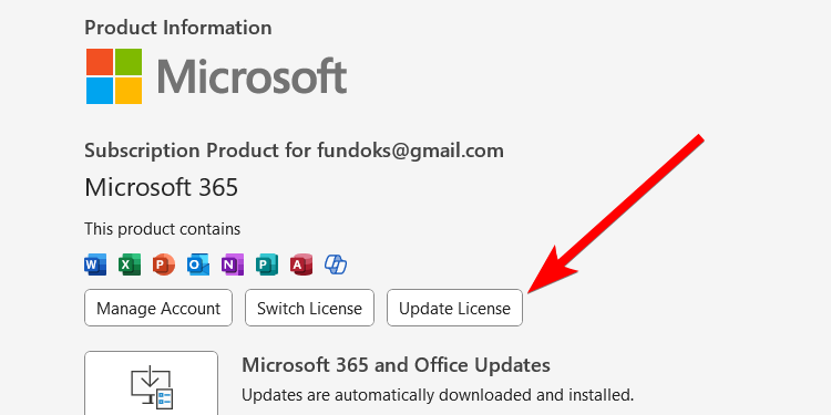 The "Update Licence" button in Microsoft Word.