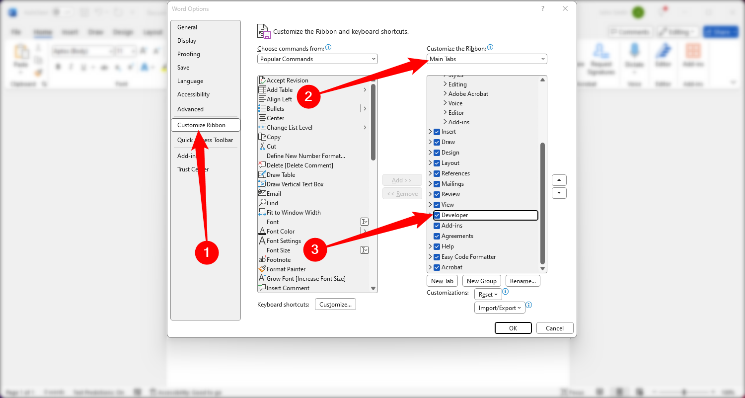 Click 'Customize ribbon' on the left, select 'Main Tab' under Customize the Ribbons, then tick the check mark next to Developer. 