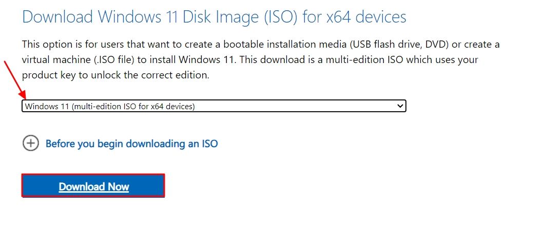 Download Now button for the Windows 11 ISO File.