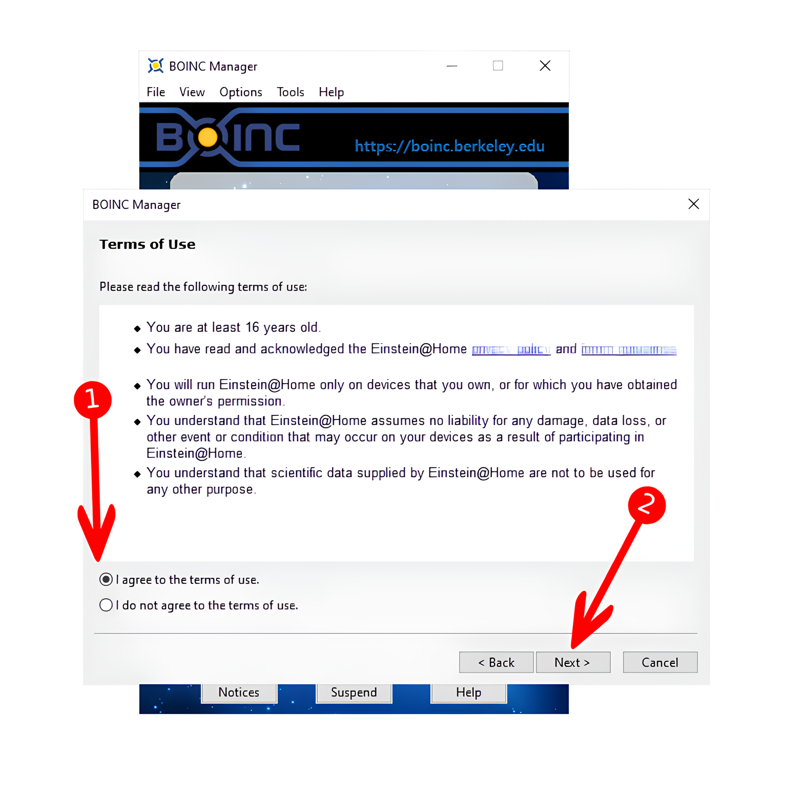 Accepting Einstein@Home terms of use.