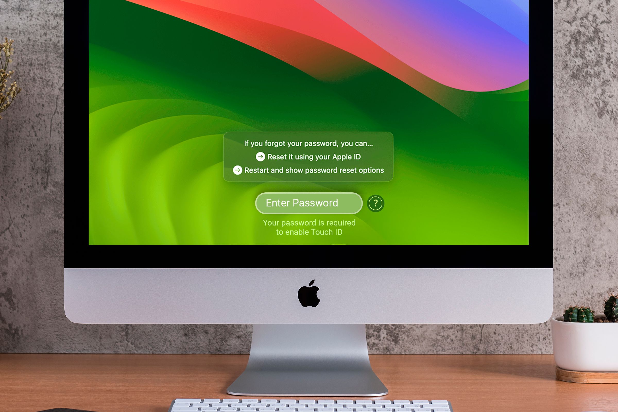 IMac on the login screen showing password reset options.